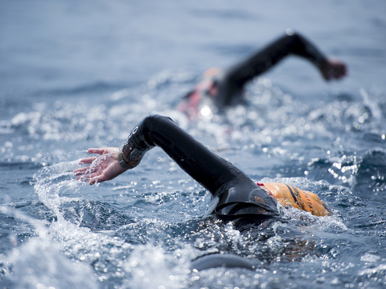 SEA_SWIM