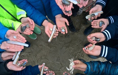 De Grote Schelpenteldag 2023