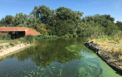 Waterrecreatie toegestaan op Spaarbekken, blauwalgen in De Koolhofput en Kanaal Plassendale-Nieuwpoort