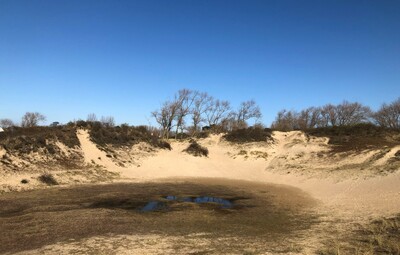 Het Agentschap Natuur en Bos schaalt bos- en natuurgebieden in West-Vlaanderen op naar brandgevaar code geel