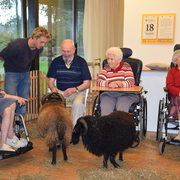 Activiteiten De Zathe (8)