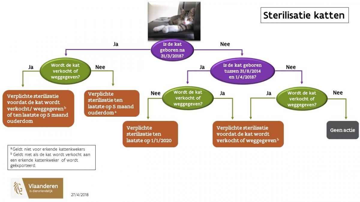 diargam stelt voor hoe snel katten kweken